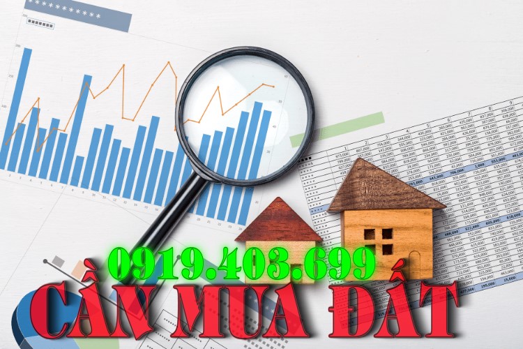 CẦN MUA ĐẤT MỸ PHƯỚC 4 KHU DÂN CƯ – HỖ TRỢ CÔNG CHỨNG NHANH