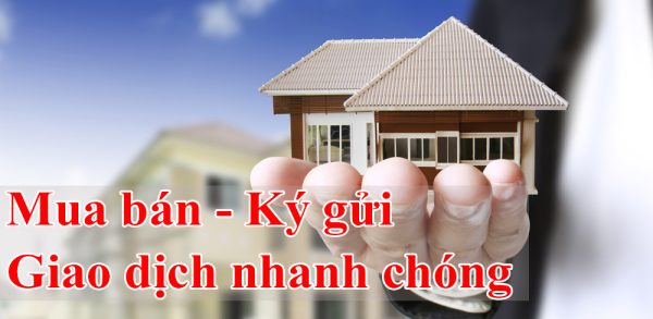 THU MUA ĐẤT MỸ PHƯỚC 3 – GIÁ CAO, GIAO DỊCH NHANH, UY TÍN HÀNG ĐẦU BÌNH DƯƠNG