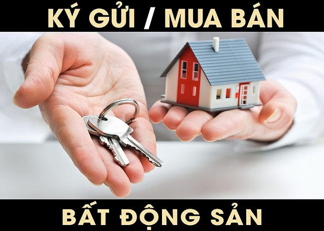 DỊCH VỤ KÝ GỬI ĐẤT MỸ PHƯỚC 4